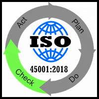 ISO 45001:2018 Clause 9