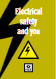 INDG231 Electrical safety and you: A brief guide (original edition)